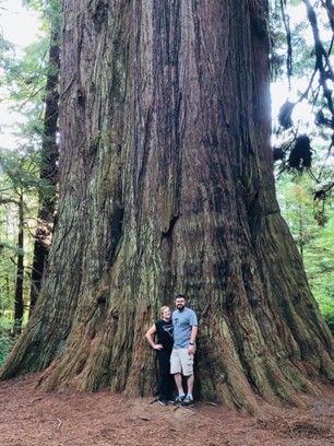 BigTree